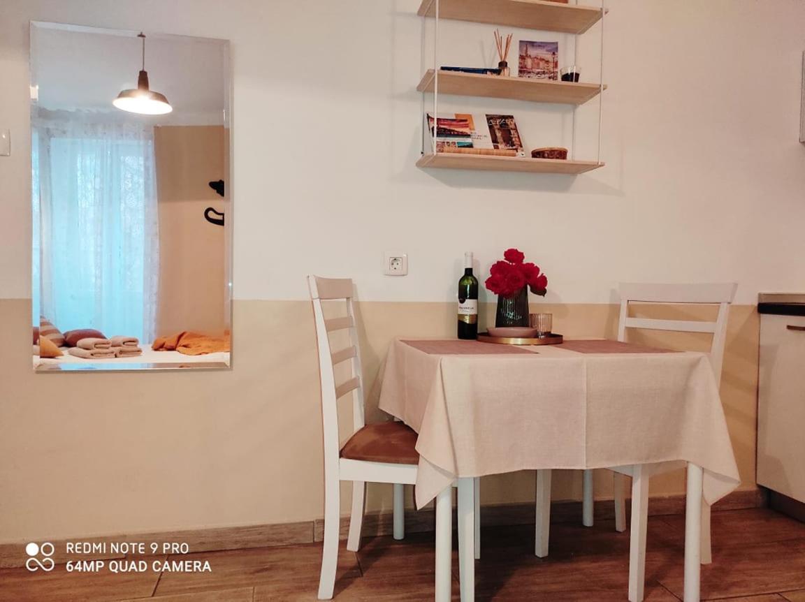 Nice Apartment In The City Center 罗维尼 外观 照片
